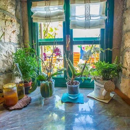 Authentic House Albazora In Istria