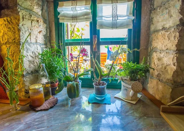 Authentic House Albazora In Istria